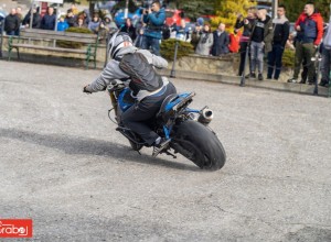 DSC01019